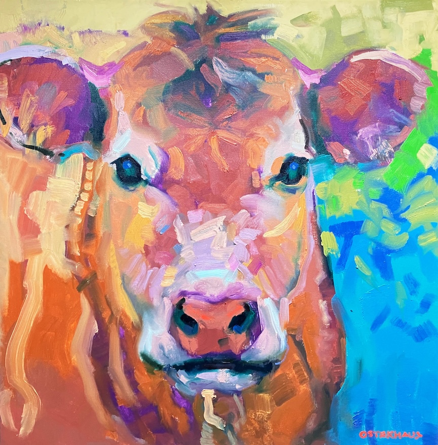 colorful cow portrait with contrasting colors